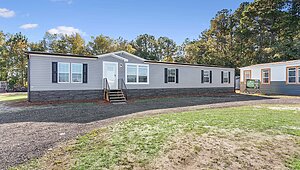 DD Extreme / Tremor Exterior 146869