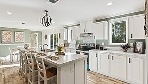 DD Extreme / Tremor Kitchen 146873