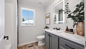 Alpha / Axis 32563N Interior 120719