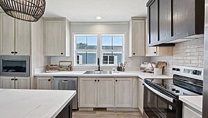 Alpha / Axis 32563N Interior 120711