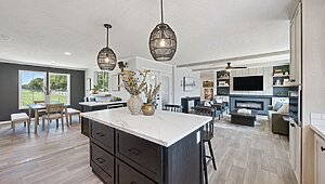 Alpha / Axis 32563N Interior 120712