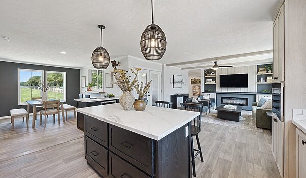 Alpha / Axis 32563N Interior 120712