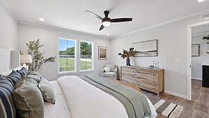 Alpha / Axis 32563N Interior 120715