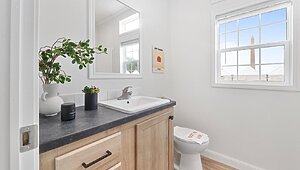 Anthem / The Blue Ridge AY16763S Duplex Bathroom 102190