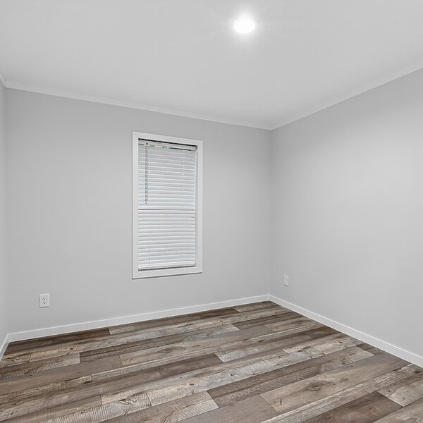 Alpha / Axis 32563N Interior 122991