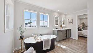 Alpha / Axis 32563N Interior 121385