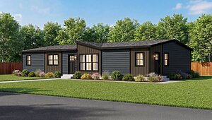 Alpha / Axis 32563N Interior 122997