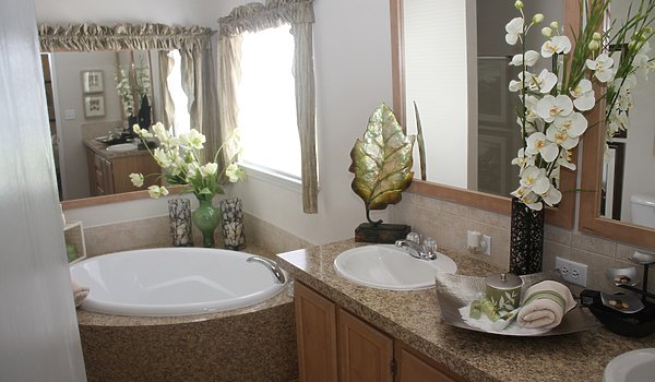 Palm Harbor / The Mountain View I Bathroom 39878