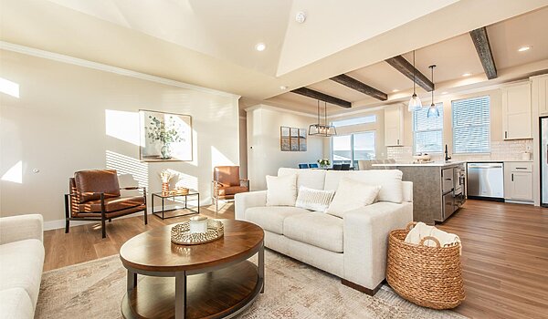 American Dream Series / The Urban Homestead AD30563H Interior 122912