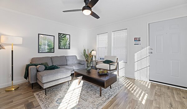 Anthem / The Sugar Run Duplex Interior 124488