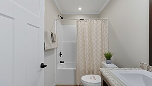 Cedar Cove / D646 Interior 128718