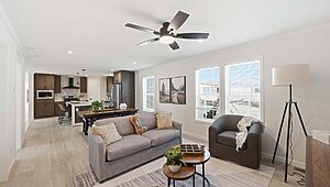 Embrace Series / Abundance 241 Interior 133125