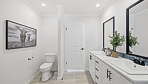 Embrace Series / Abundance 241 Interior 133129