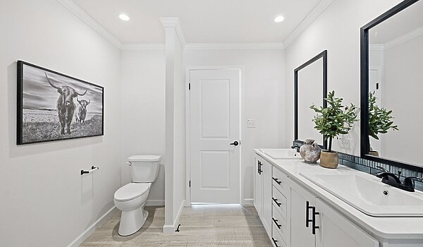 Embrace Series / Abundance 241 Interior 133129