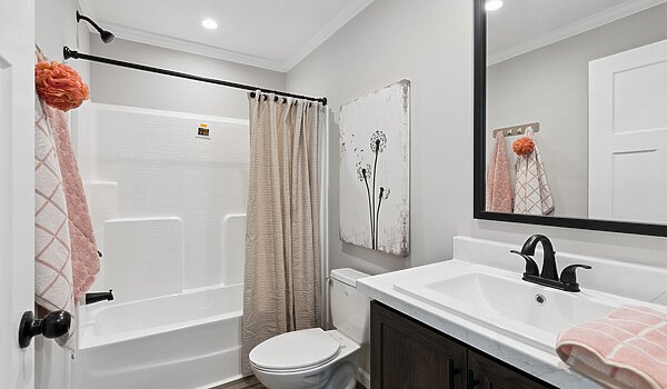 Ascend / Rosedale Interior 123459