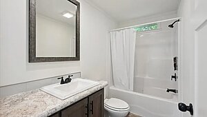 Ascend Series / Elevate ASCTN2-20 Bathroom 115106