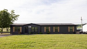 Essential / Vision 46ESS32684AH Interior 120399