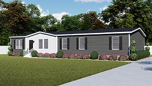 Essential / Vision 46ESS32684AH Interior 120401