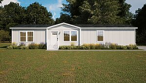 Tempo / Cadence TMI28604B Exterior 132215
