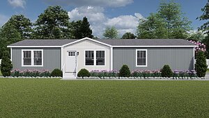 Tempo / Brown Eyed Girl 55TMI28604AH Exterior 131251