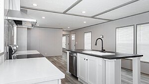 Promotional / The Platinum 22ANV16763PH Kitchen 82916