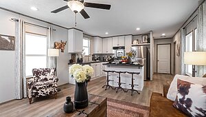 Horizon / Beacon 22HZN16663AH Interior 115556