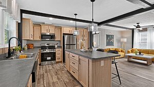 Blazer Select / Dart 28483F Kitchen 147289