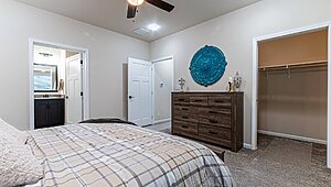 Premier / Beech Interior 121151