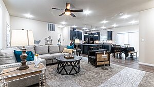 Premier / Beech Interior 121147