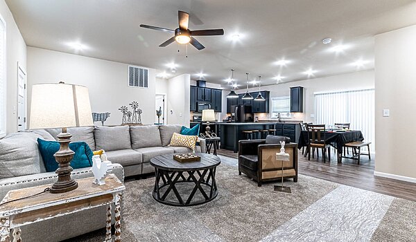 Premier / Beech Interior 121147