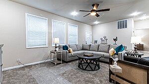 Premier / Beech Interior 121149