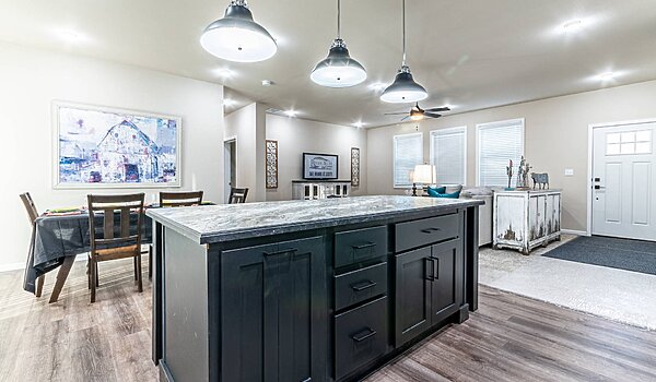 Premier / Beech Interior 121145