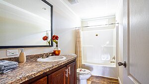 Winter Series / The Olmito Bathroom 117952