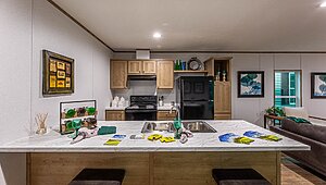 Phoenix / 16562A Interior 120268