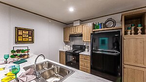 Phoenix / 16562A Interior 120269