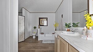 Phoenix / 32483A Interior 120326