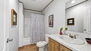 Phoenix / 32483B Interior 120346