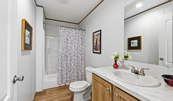 Phoenix / 32483B Interior 120346