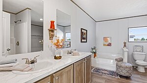 Phoenix / 32764A Interior 120382