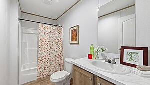 Phoenix / 32764A Interior 120384