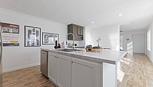 Anthem / The Sugar Run Duplex Interior 123763