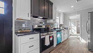Alpha / Helix 16763N Interior 134075