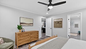 Alpha / Axis 32563N Interior 134090