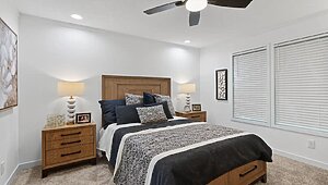 Alpha / Aura 28644N Interior 134123