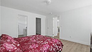 Alpha / VE-24603A Interior 129744