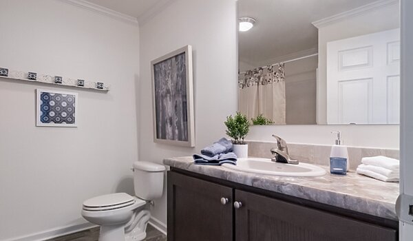 Blue Ridge MAX / Limited 28603B Bathroom 136658