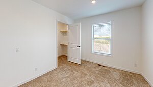Alpha / The Easy Street Interior 116913