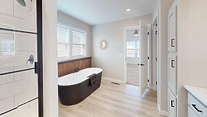 Alpha / The Easy Street Interior 116915