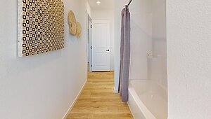 Alpha / The Easy Street Interior 116916