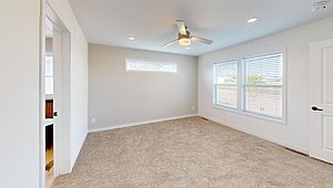 Alpha / The Easy Street Interior 116910